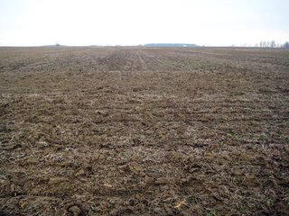Property photo 4 - 414.5 +/- Acres Offered in 6 Tracts - Prime Indiana Farmland